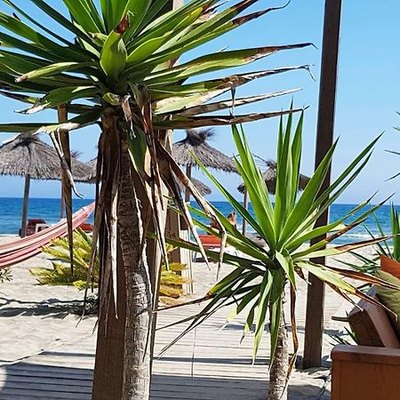 Beau Studio A 1 Minute De La Plage Canet-en-Roussillon Zewnętrze zdjęcie